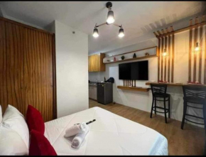 Elegant Studio Type Unit